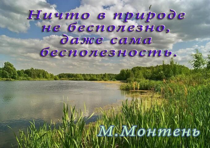 Природа цитаты. Цитаты про природу. Высказывания о природе. Красивые высказывания о природе. Красивые цитаты про природу.