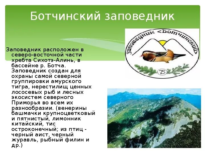 Заповедники хабаровского края. Заповедники хабаровского края список. Заповедники хабаровского края список. Заповедники хабаровского края. Джугджурский заповедник хабаровский край.