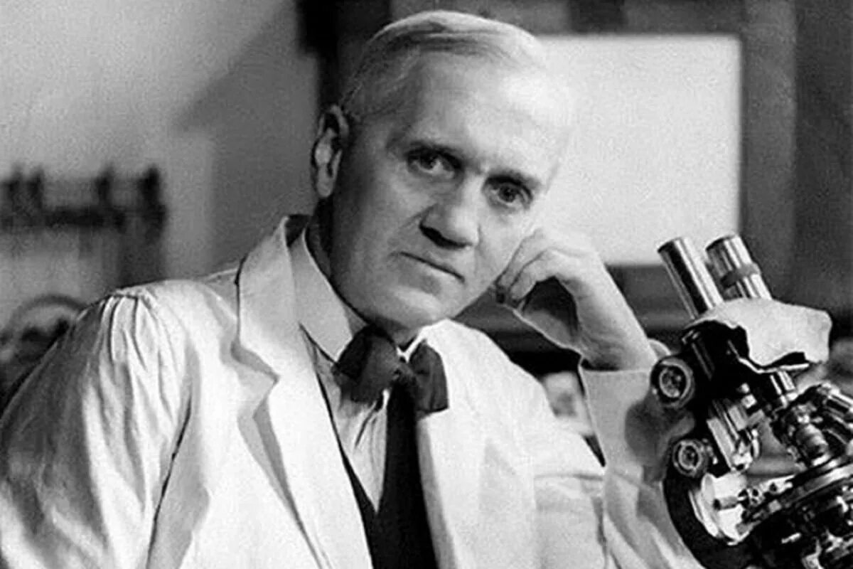 Alexander fleming discovered penicillin. Флеминг. Alexander Fleming.