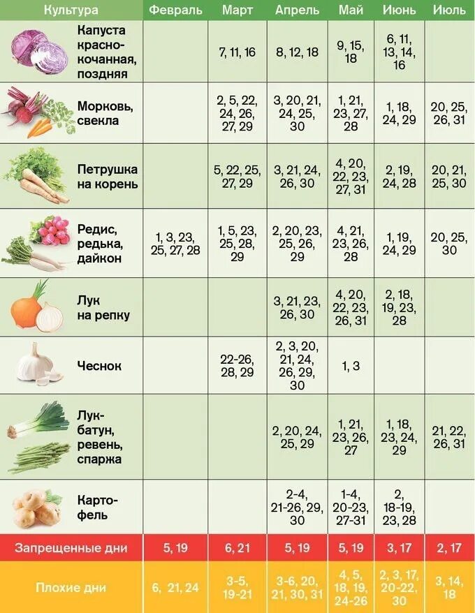 Календарь садовода. Календарьпосадеи рассады. Календарь посадок. Календарь посадки рассады.