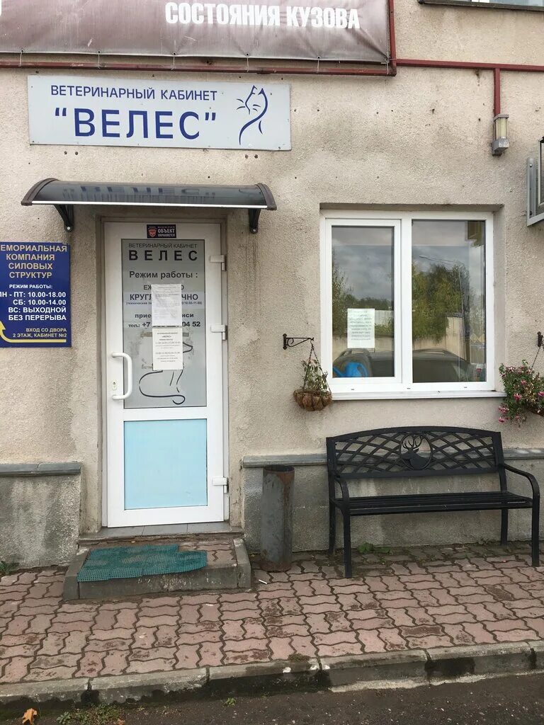 Ветклиника на псковской. Любовь и забота ветклиника псков. Ветклиника дружок волгоград краснооктябрьский. Ветклиника в любятово псков режим. Ветаптека псков.