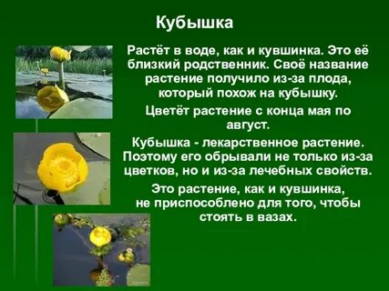 Почему кубышка стала недоступна