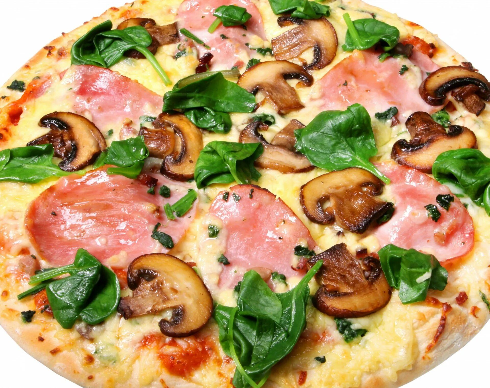 Пицца Капричоза Ташир. Пицца на белом фоне. Пицца с грибами. Пицца с колбасой. Пицца с языком рецепт