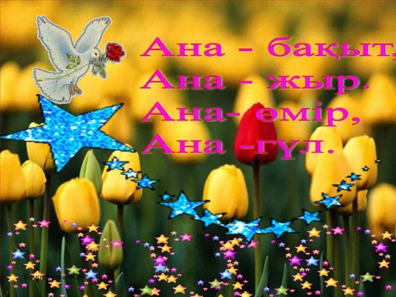 Жарық өмір сыйлаған ана