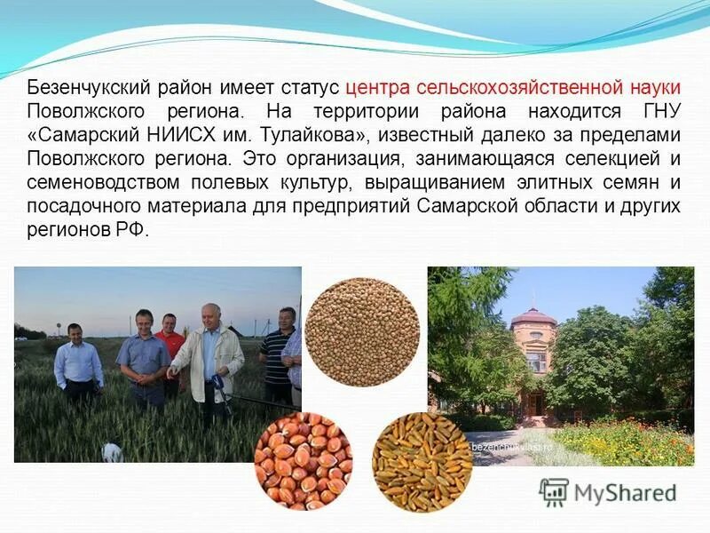 академик сельскохозяйственных наук фото. золотая осень выставочный стенд. казгау институт механизации. достижения аграрной науки. цифровые технологии в сельском хозяйстве.