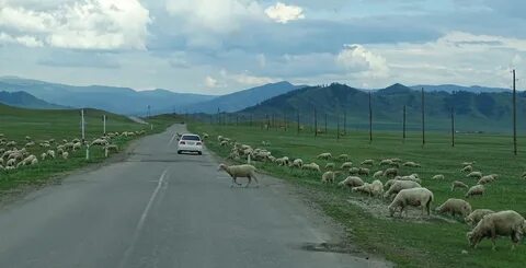 Погода в усть коксе на месяц