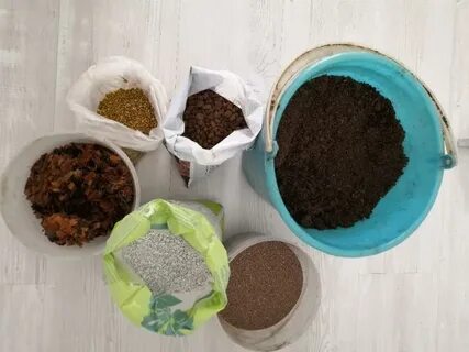 Грунт для бенджамина