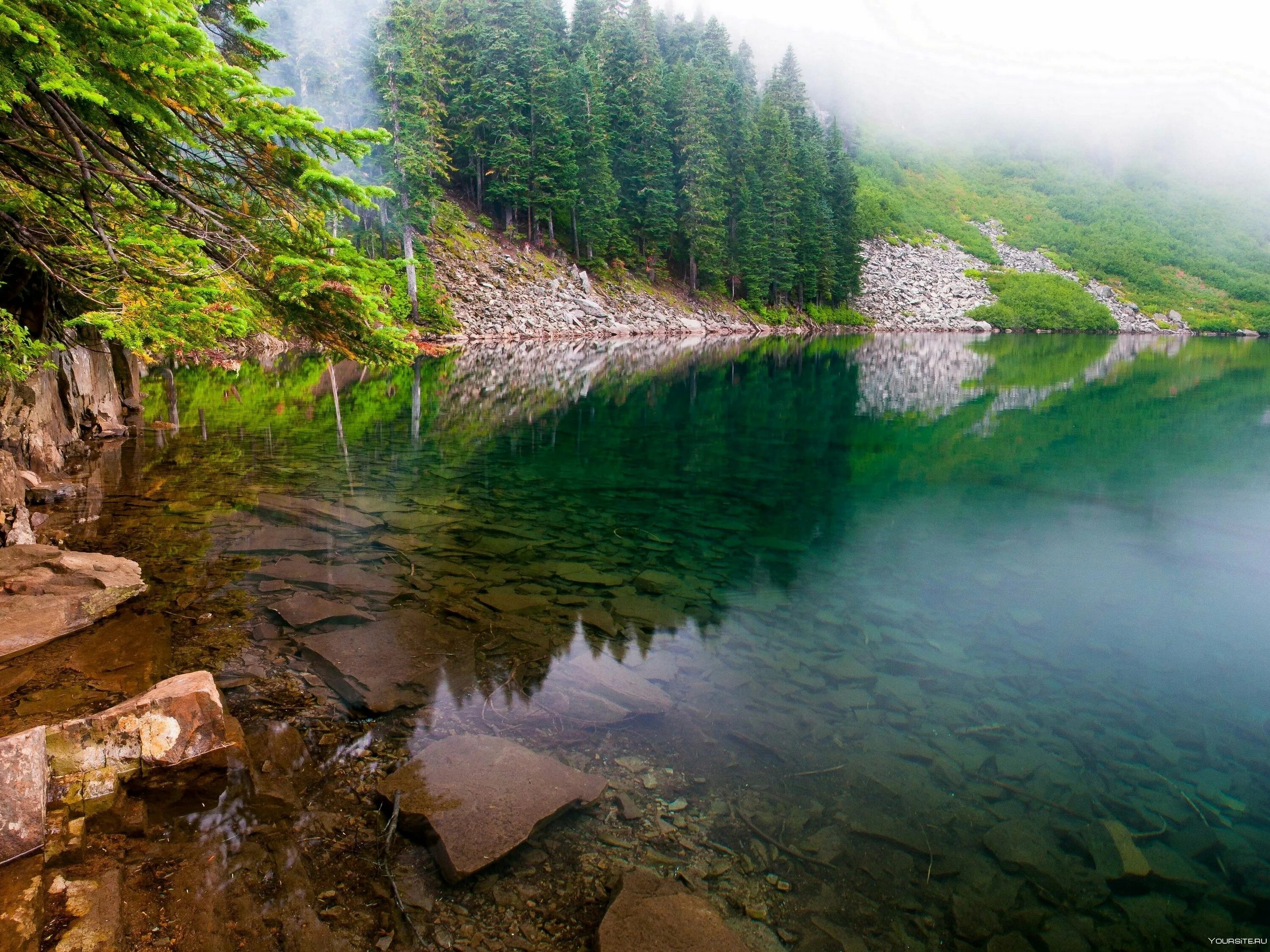 Озеро Людовна. Чистая река. Красивая река. Реки и озера. Вода озерца