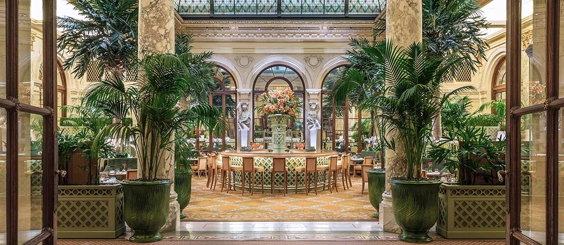 The palm court. Викторианская эпоха эстетика оранжерея. The palm court. Отель плаза нью-йорк свадьба. The palm court.