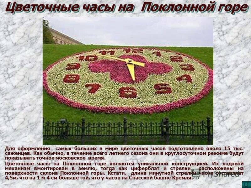 Цветочные часы. Цветочные часы Поклонная гора. Цветочные часы в Москве. Поклонная гора часы.