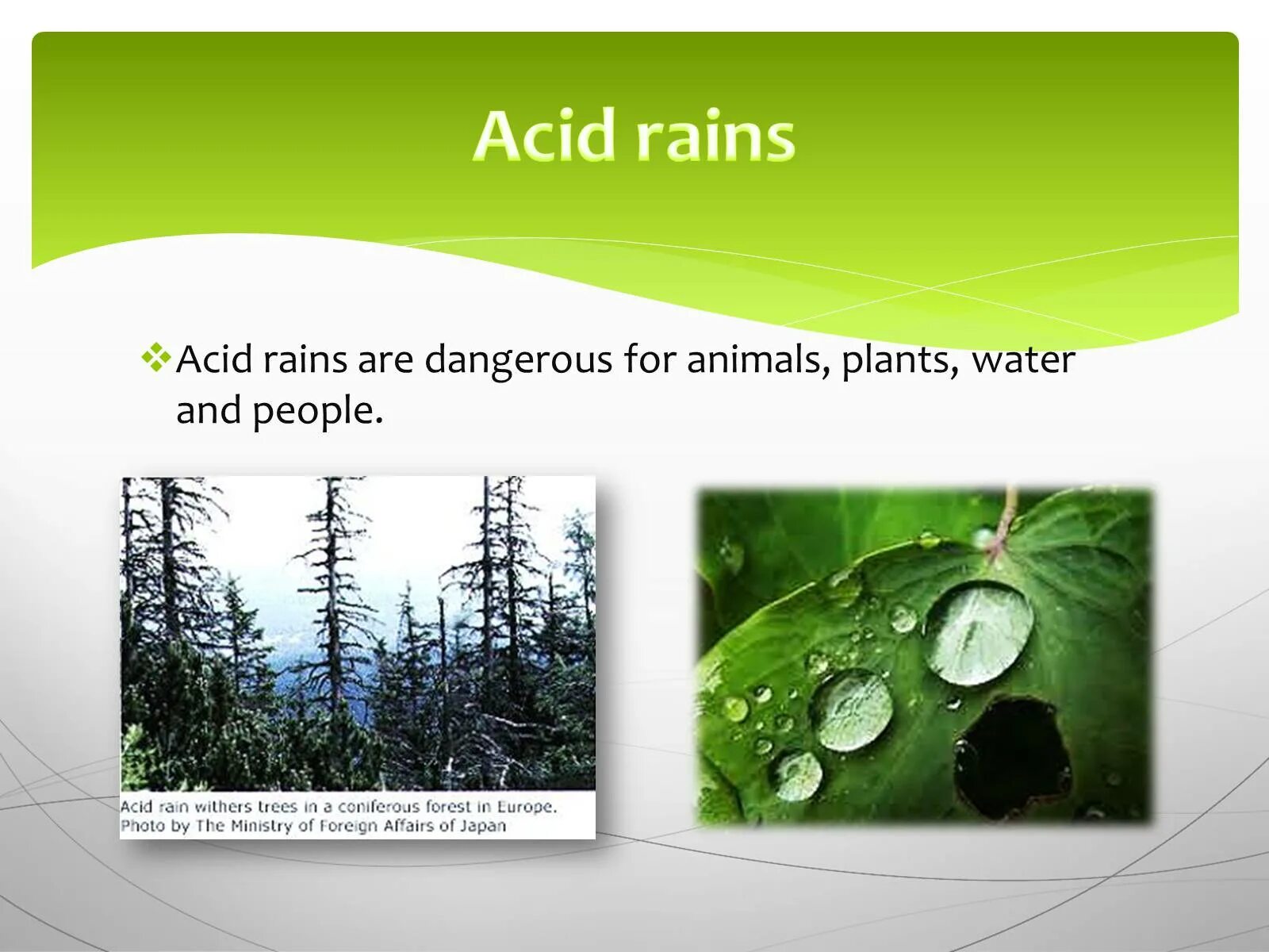 Environmental Protection презентация. Презентации кислотный дождь на английском. Презентация по английскому кислотные дожди. Что такое кислотный дождь на английском. Текст по английскому 7 класс acid rain