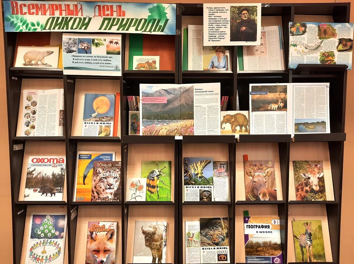 День дикой природы в библиотеке. Выставка к всемирному дню дикой природы. День дикой природы в библиотеке. День дикой природы в библиотеке. Книжная выставка о дикой природе.