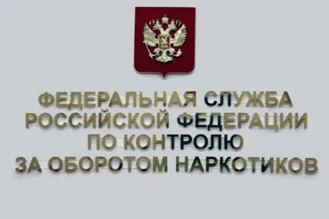 Служба по контролю за безнадзорными