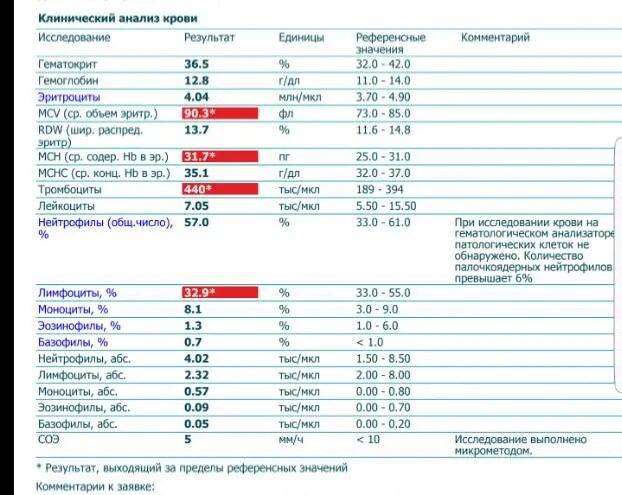 Патологические клетки крови не обнаружены