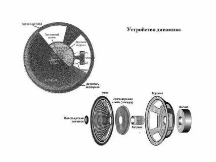 Новые виды динамика