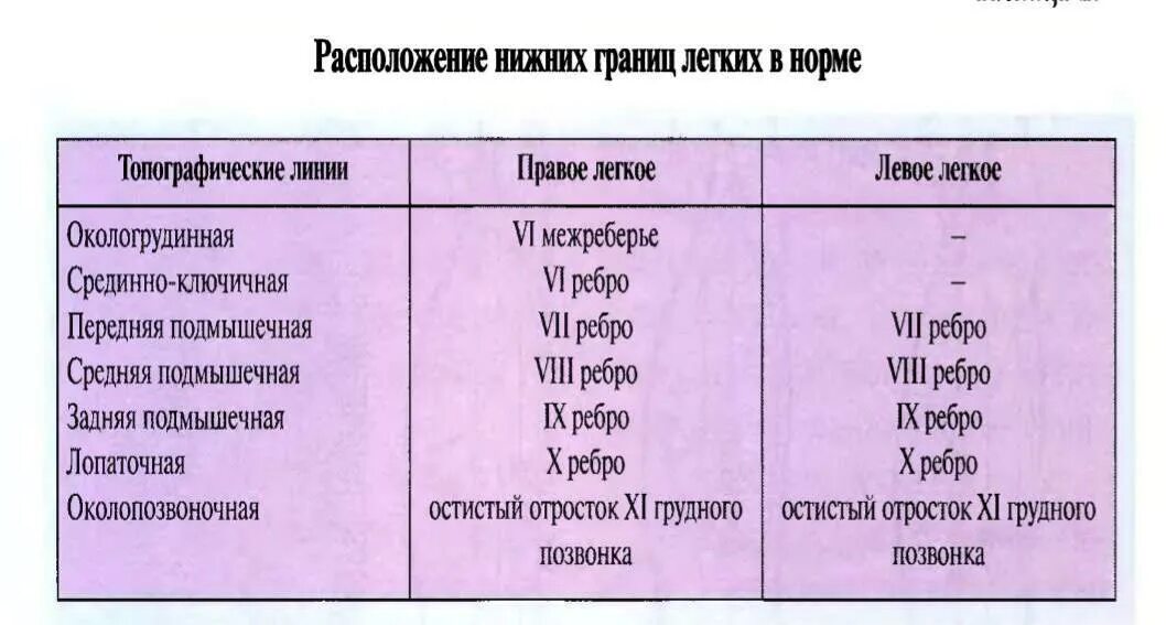 Нижняя граница легкого в норме. Расположение нижних границ легких. Расположение нижних границ лёгких в норме. Границы легких таблица.