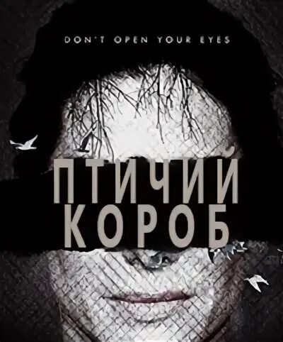 Птичий короб 2018 отзывы