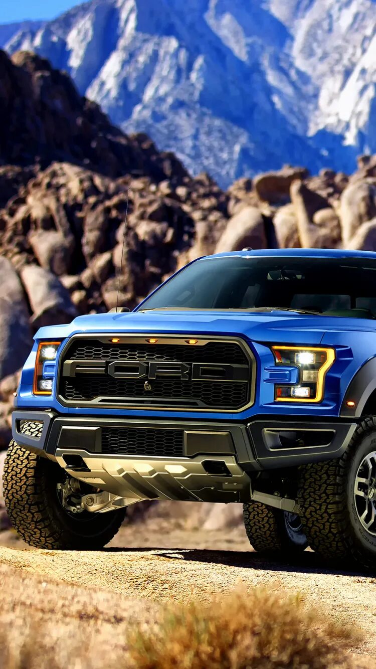 Форт 150. Ford f150 raptor. форд f150 раптор. ford raptor 2017. пикап ford f-150 raptor.