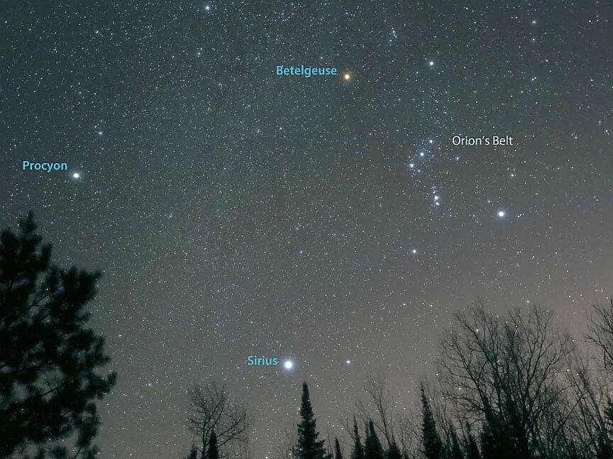 Сириус Созвездие самая яркая звезда. Звезда Бетельгейзе в созвездии Ориона. Звезда Бетельгейзе на ночном небе. Бетельгейзе Сириус и Процион. Какая звезда небосвода самая яркая