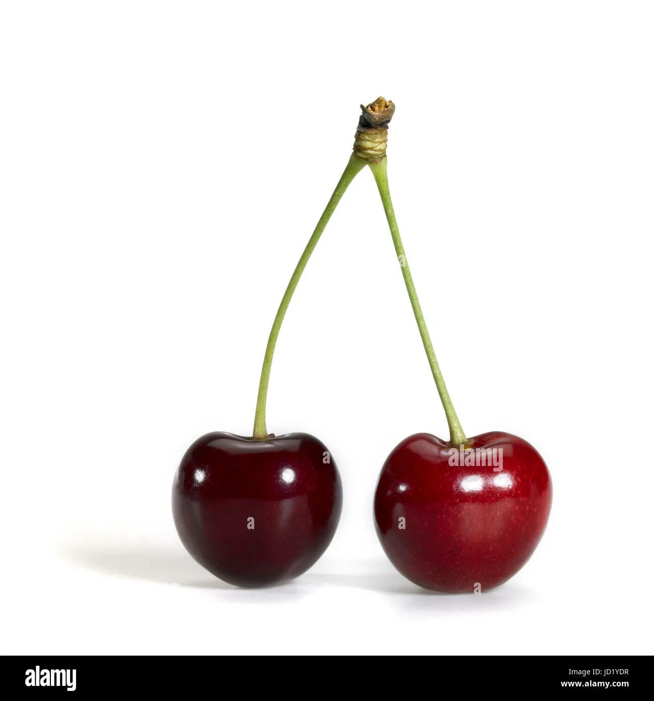 Cherry ll