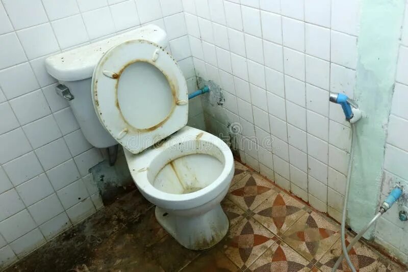 Туалет бомжа