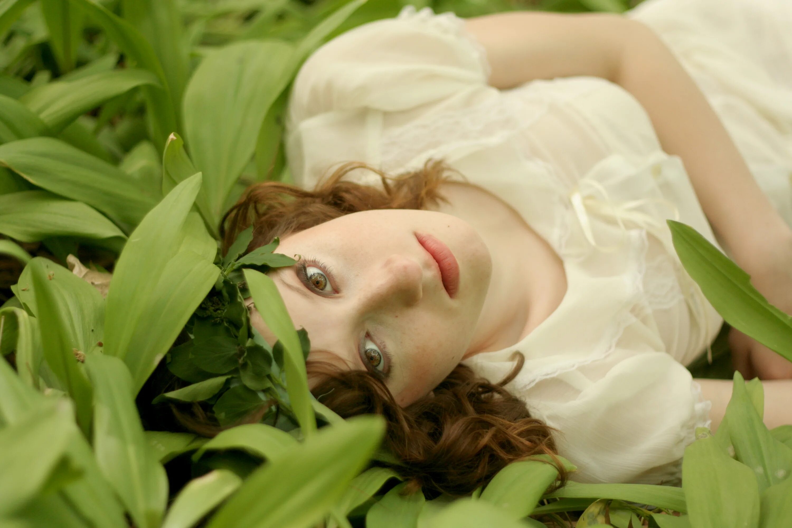 Есть глаза у цветов слушать. Незабудка лесная myosotis sylvatica. Цветы группа стаса намина в молодости. Есть глаза у цветов слушать. Есть глаза у цветов слушать.