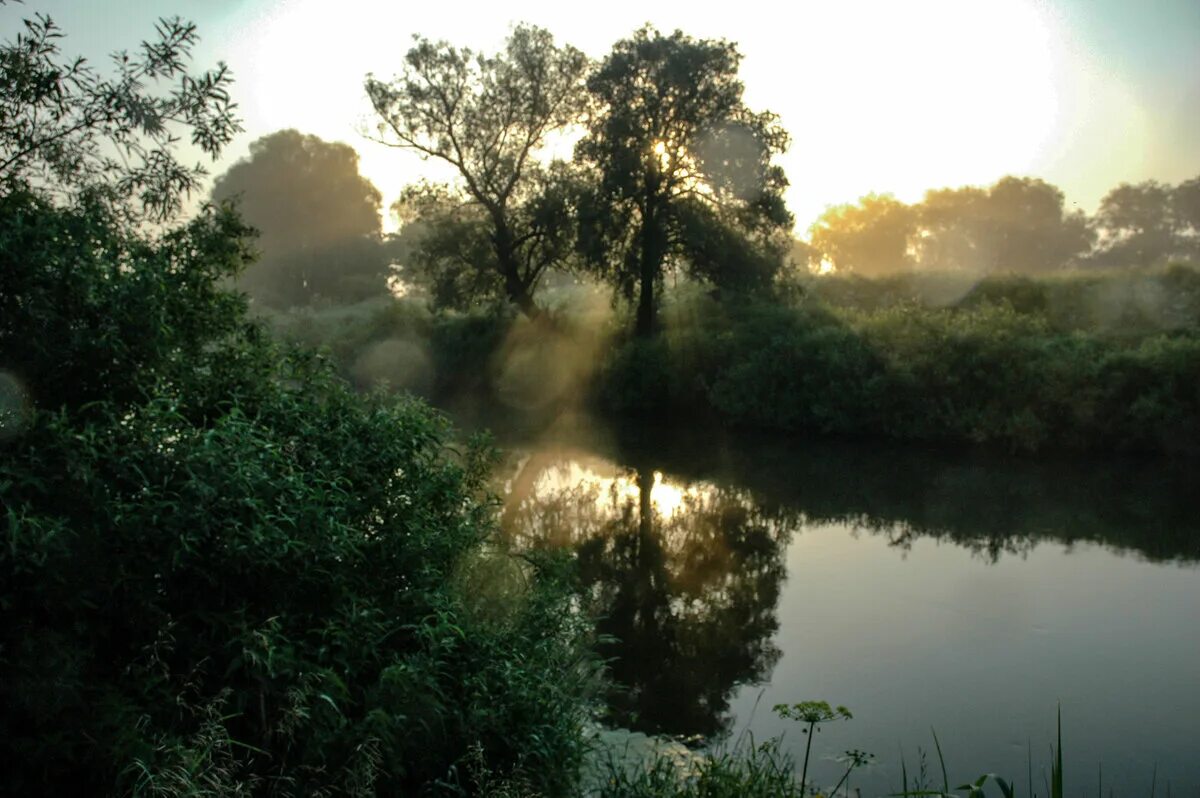 Река сухейка протвино. Гостиница протва в протвино. Разлив протвы в протвино 2022 у с/т скала. Ресторан протва в протвино. Протва протвино.