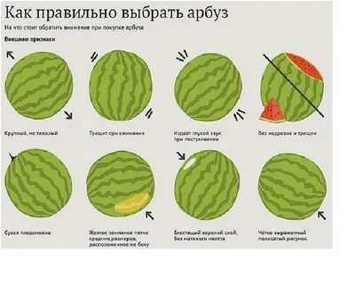 Тест какой ты арбуз