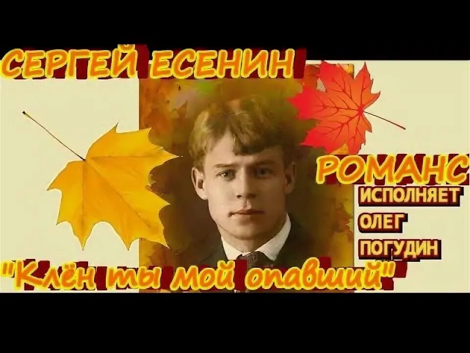 Есенин клен. Романс есенина клен ты мой опавший. Клен мой опавший ноты. Клён ты мой опавший для гитары. Стихотворение клен ты мой опавший.