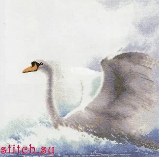 Лебедь китай отзывы