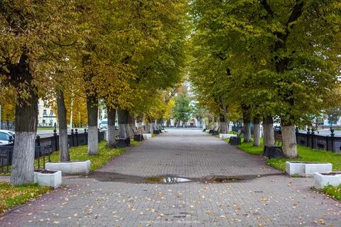 Кострома в ноябре