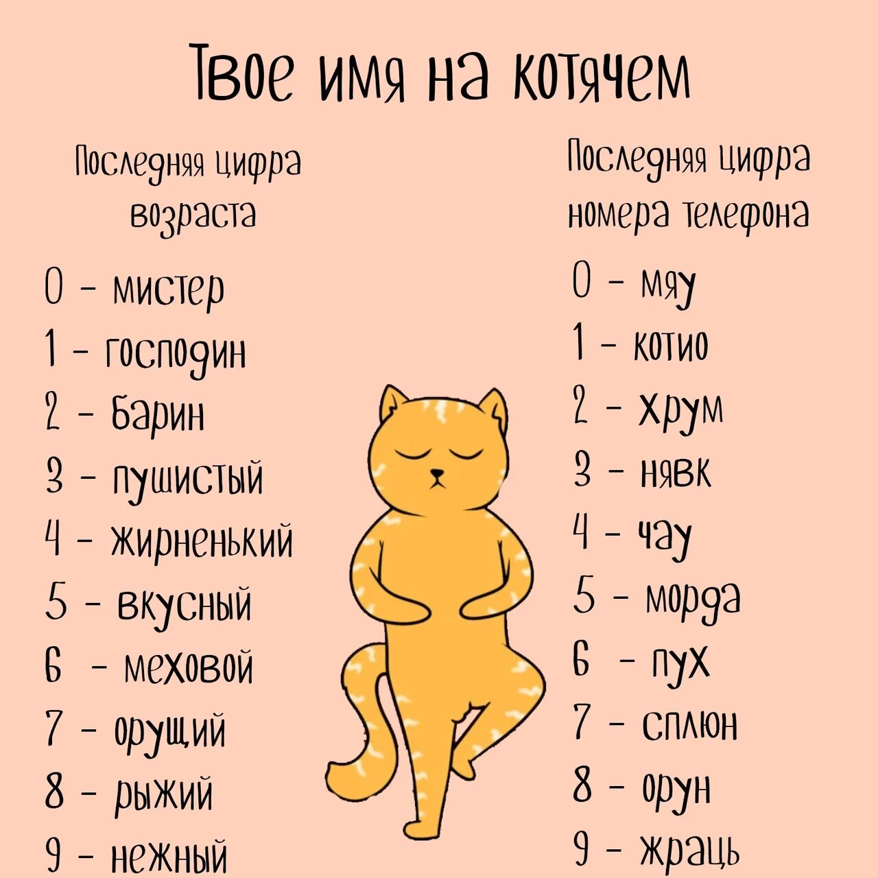 Дай имя кошки. Как на щватт кота мальчик. Имена для кошек. Имена для котят. Имена доя коров мальчкиов.