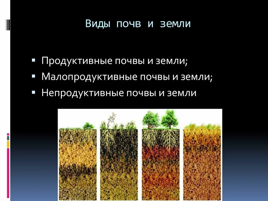 Чем объясняется разнообразие почв на земле. Типы почв на земле. продуктивные почвы. непродуктивные почвы. типы почв свердловской области.
