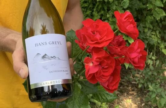 Hans greyl sauvignon. Hans greyl sauvignon blanc. вино ханс грей. вино hans greyl sauvignon blanc. ханс грей совиньон блан мальборо.
