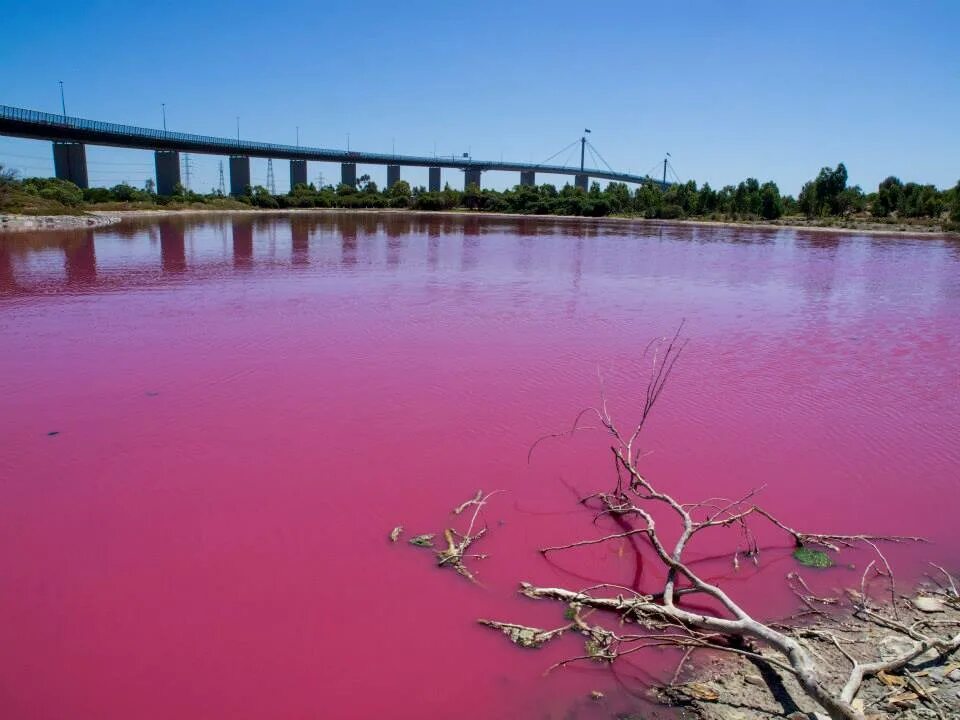 Rose lake