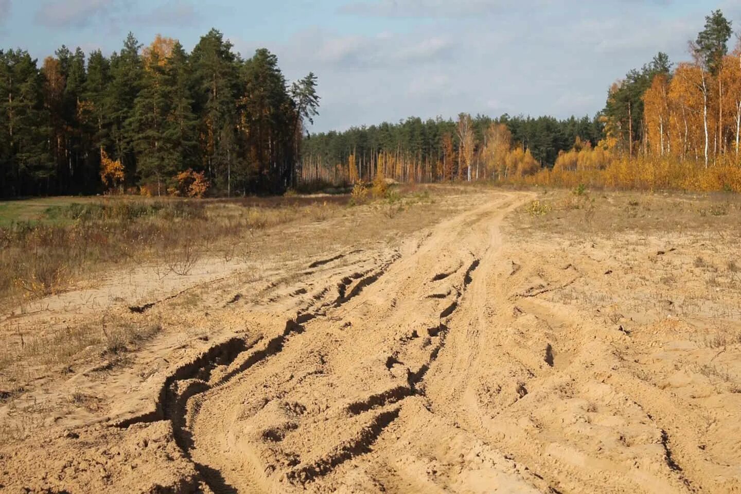 Бездорожье грязь. Грязная дорога. Грязная дорога в лесу. Бездорожье в лесу.