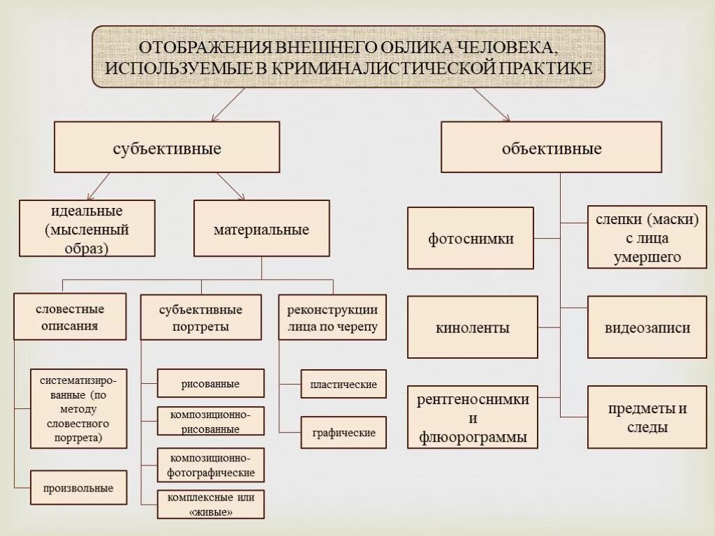 Общие и частные признаки объекта. Отображение внешнего облика человека в криминалистике. Отображения внешнего облика человека. Виды отображений внешнего облика человека. Формы отображения крисинали.