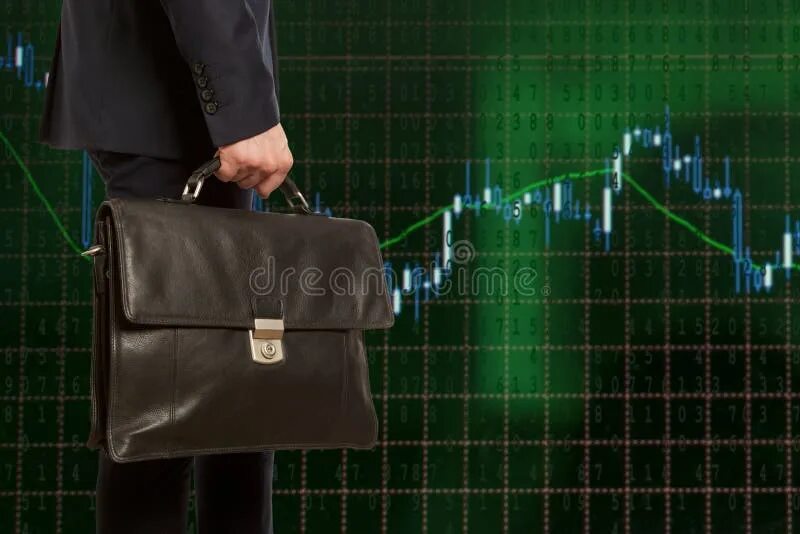 Финансовый портфель. Финансовый портфель. Биржевой портфель. Портфель (финансы). Портфель инвестора.