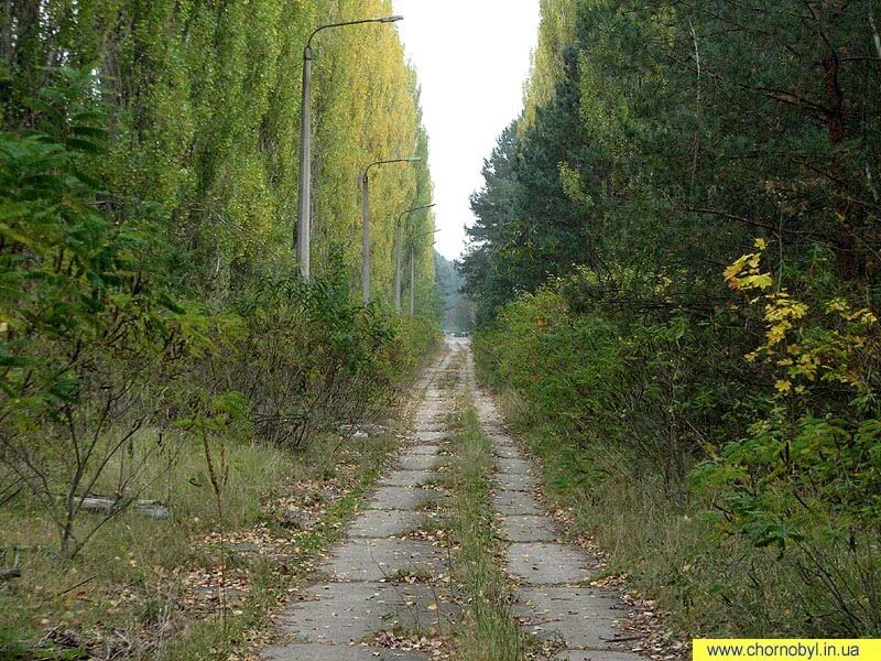 Зона отчуждения дороги. Вильча припять. Дороги в чернобыле. Поход в чзо нелегалом. Припять дорога.