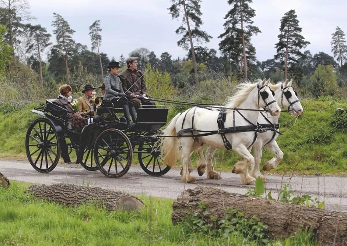 Конный экипаж франция 19 век. Лошадь в упряжке. Карета с лошадью. Повозка с лошадью. Телега с лошадью.