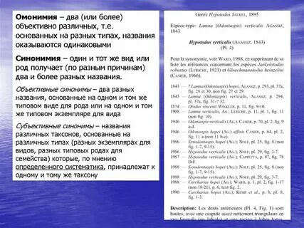 Два синоним