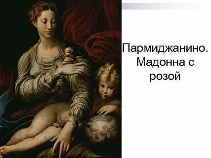 Мадонна с розой