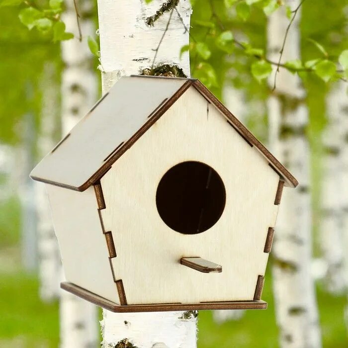 Синичники и другие домики для птиц. Необычные скворечники. Скворечники разной формы. Скворечник-бельчатник "бекас". Скворечники разной формы.