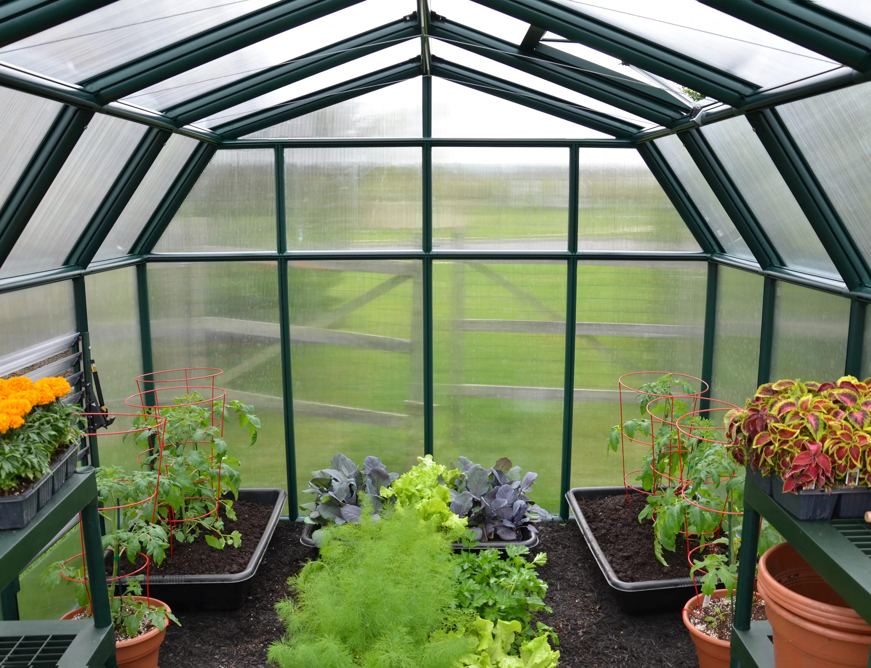 Купить теплицу в санкт петербурге. Теплицы Green House Greenhouse теплицы. ГРИНХАУС оранжерея конструкция. Tepletsa. Типы лица.