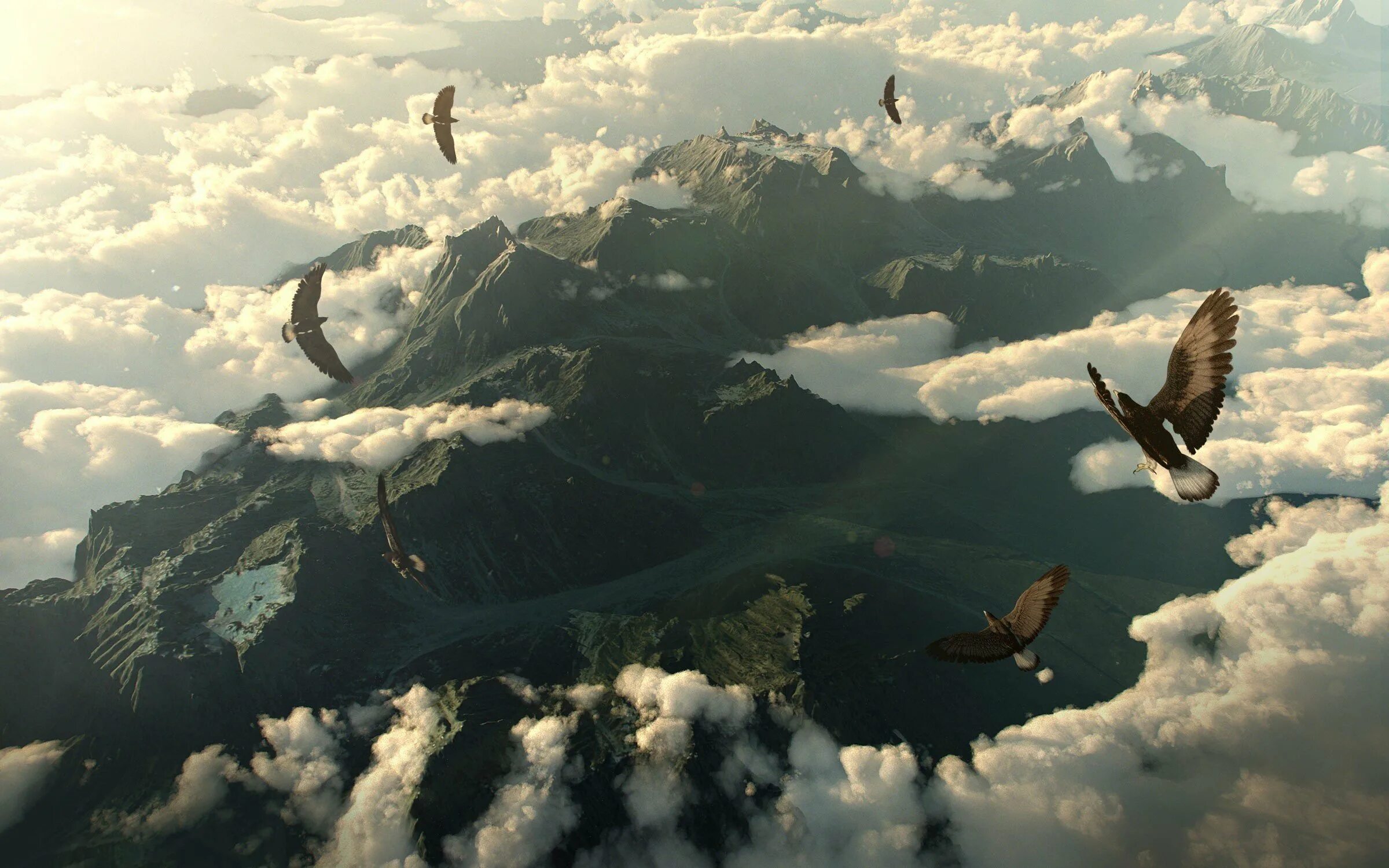 полет птицы. одиночка птиц в небе. птицы в небе. птица души. улетевший в небо охотник 5.