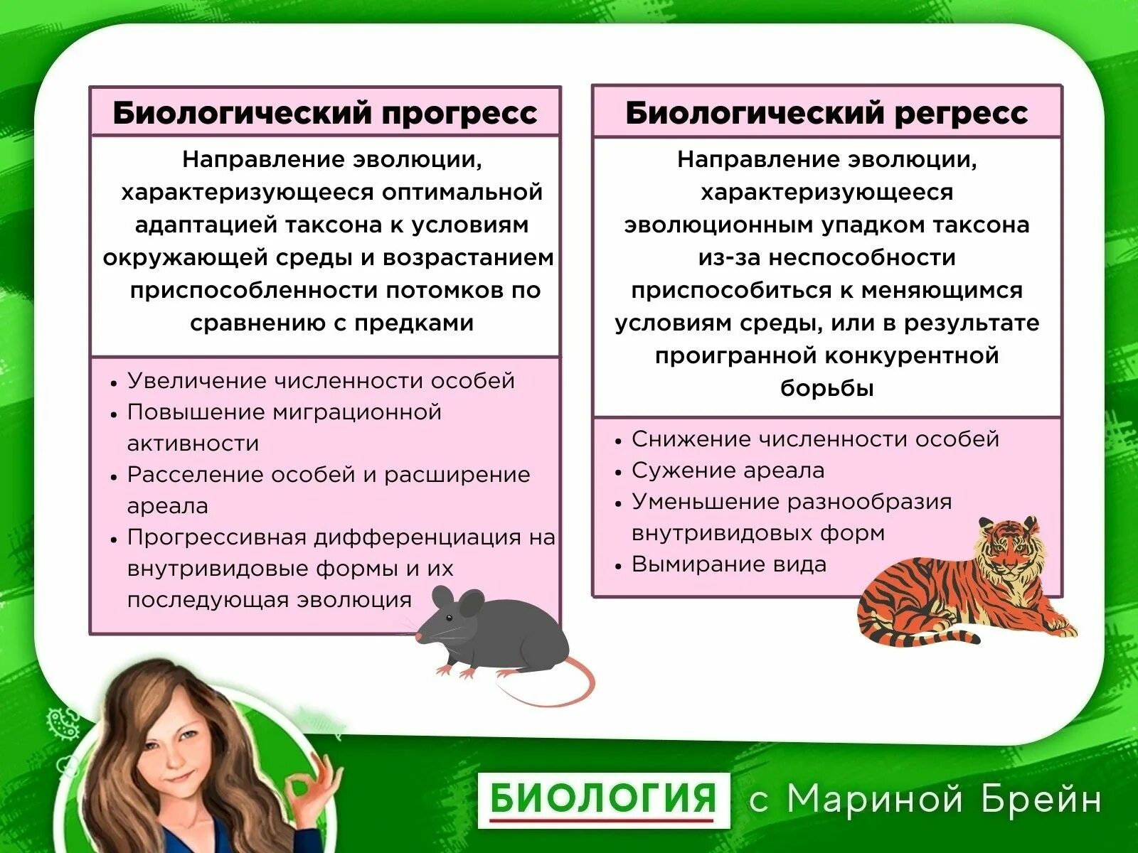 Приспособленность к среде биологический прогресс. Биологический Прогресс и регресс. Биологический регресс вымирание. Биологический процесс и биологический регресс. Критерии биологического прогресса.