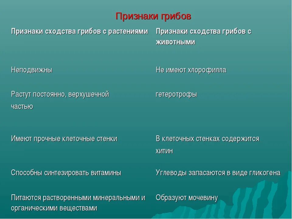 Признаки грибов кратко. Таблица признаки грибов. Признаки грибов Общие с животными 5 класс. Признаки растений у грибов. Общие признаки грибов и растений.