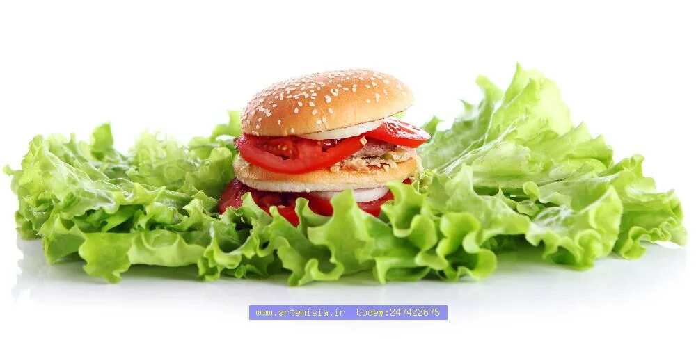 Салат для бургера. Dagwood sandwich. Бургер с салатом. Бургер в листьях салата. Бургер в листьях салата.