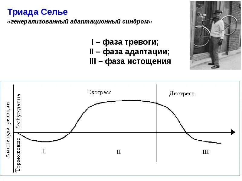 Стадия адаптации стресса