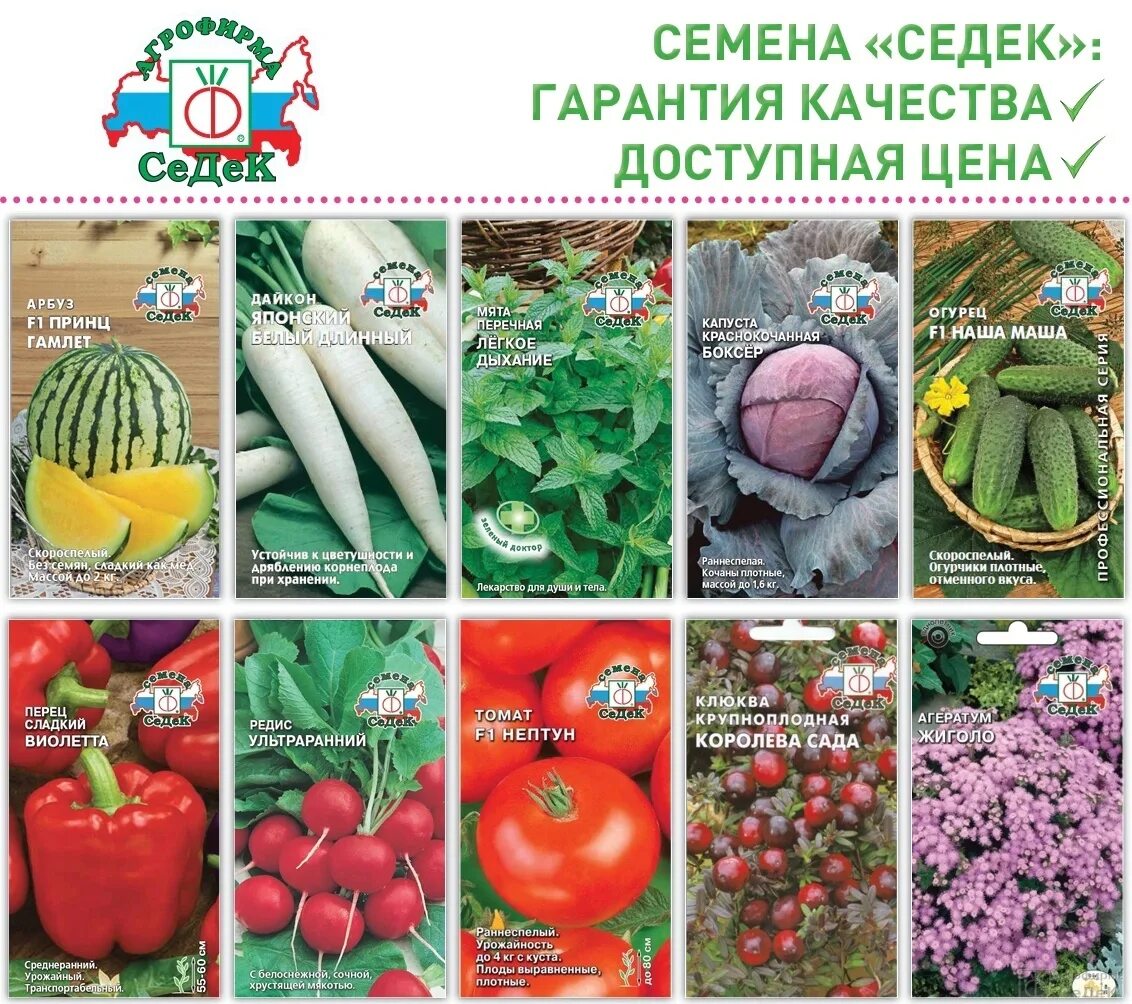 Семена овощей цена. Семена Агрофирмы СЕДЕК. Ассортимент семян овощей. Семена овощей каталог.
